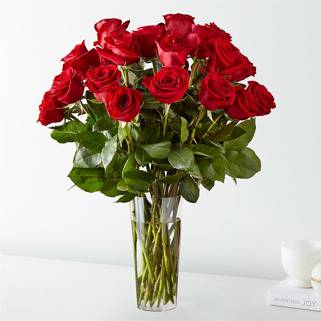 RED ROSES ARRANGED – RUSSELL'S FLOWER SHOP, Hamilton ON