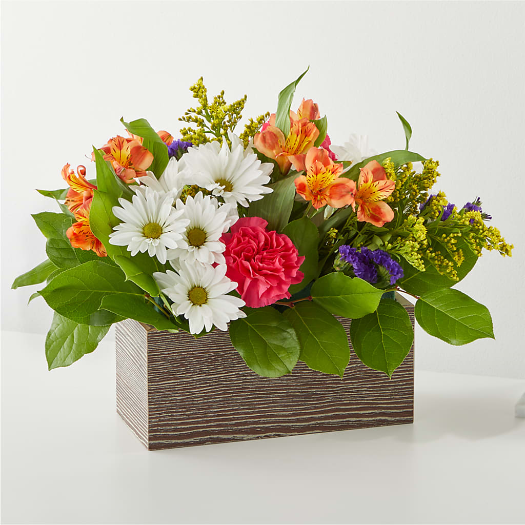 Oopsie Daisy Box Bouquet – RUSSELL'S FLOWER SHOP, Hamilton ON