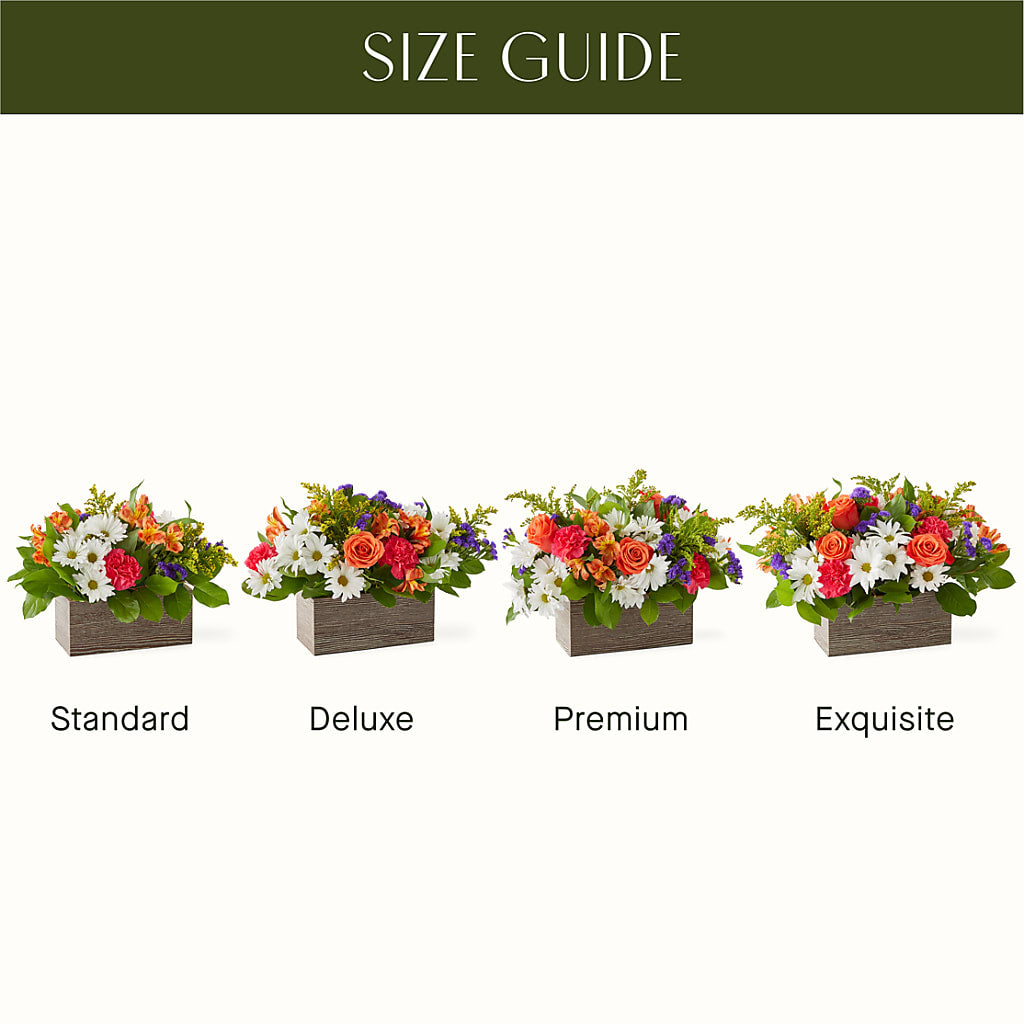 Oopsie Daisy Box Bouquet – RUSSELL'S FLOWER SHOP, Hamilton ON