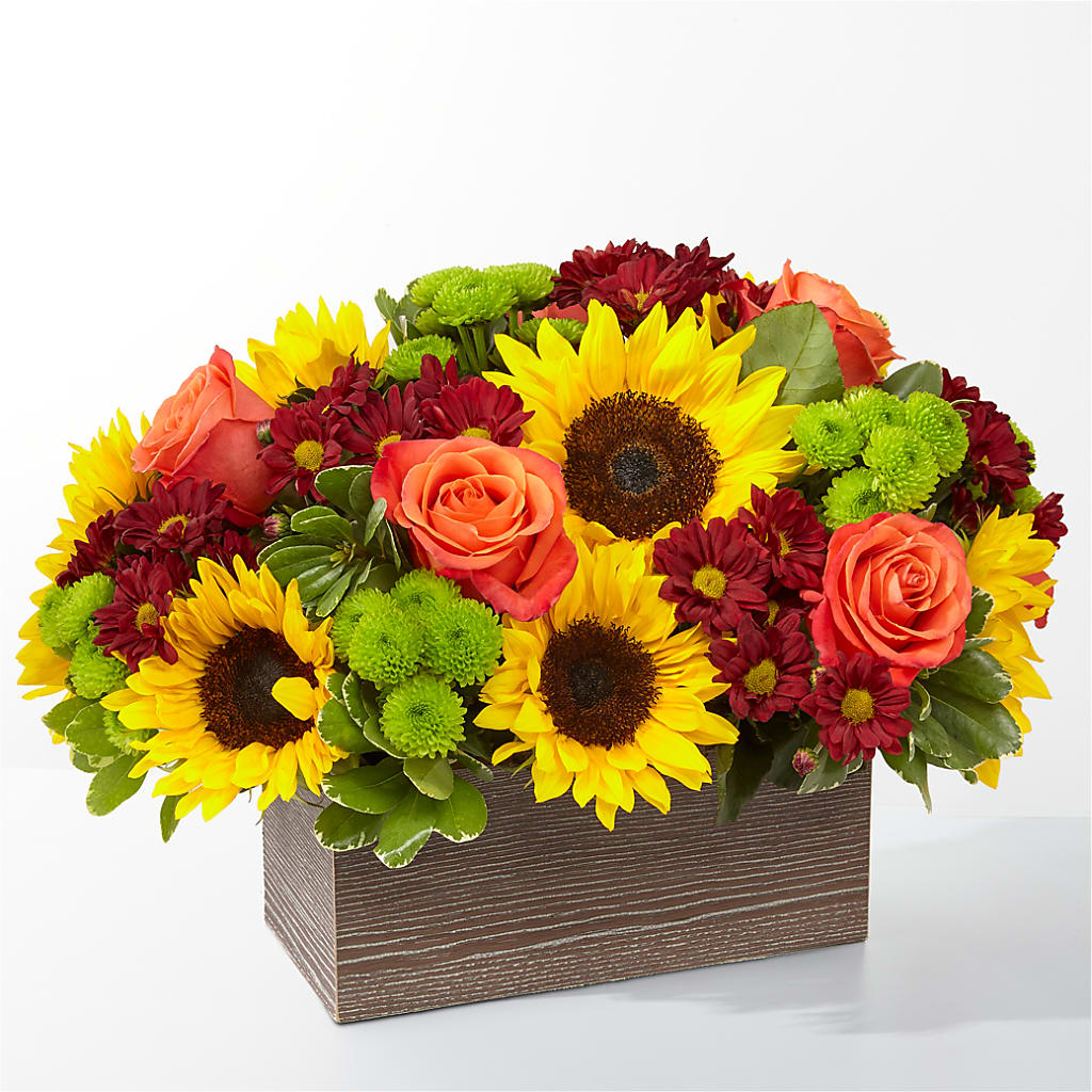 Happy Harvest Garden – RUSSELL'S FLOWER SHOP, Hamilton ON