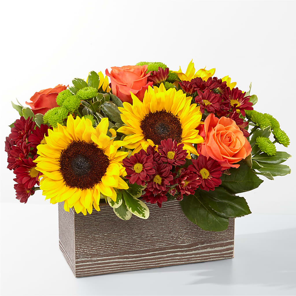 Happy Harvest Garden – RUSSELL'S FLOWER SHOP, Hamilton ON