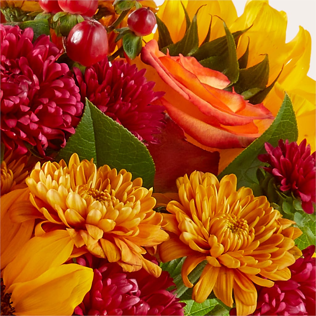 Sweater Season - A Florist Original – RUSSELL'S FLOWER SHOP, Hamilton ON