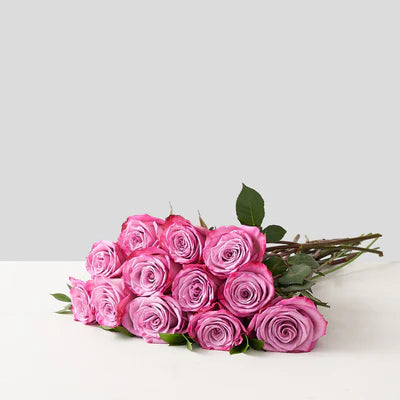 Long Stem Lavender/Purple Roses Wrapped – RUSSELL'S FLOWER SHOP, Hamilton ON