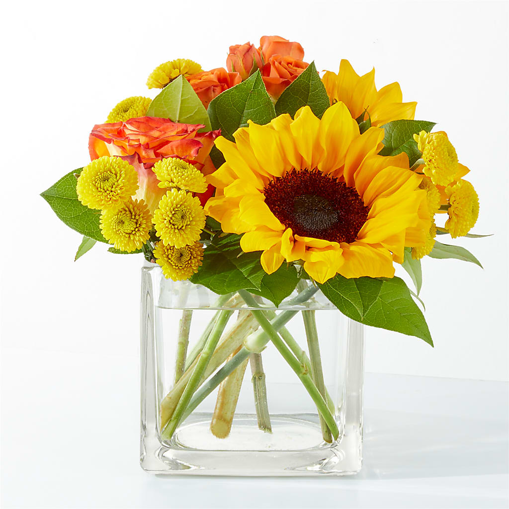 Picnic in the Park Bouquet – RUSSELL'S FLOWER SHOP, Hamilton ON
