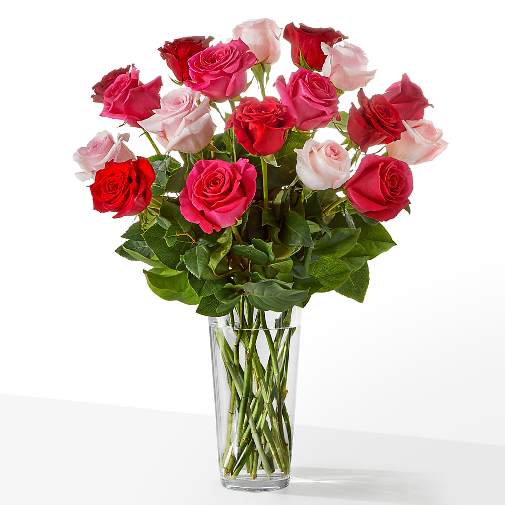 12 MIXED ROSES – RUSSELL'S FLOWER SHOP, Hamilton ON