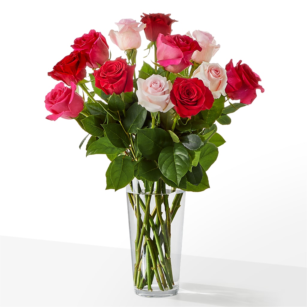 12 MIXED ROSES – RUSSELL'S FLOWER SHOP, Hamilton ON