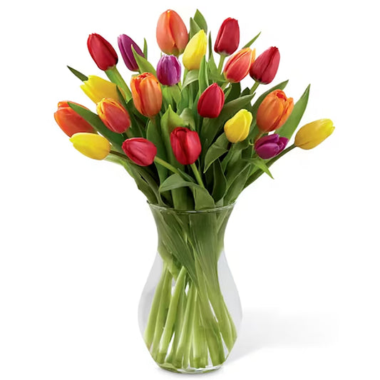 Rainbow Tulip Bouquet