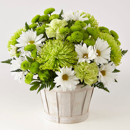 Lucky Charm Basket (Standard) – RUSSELL'S FLOWER SHOP, Hamilton ON
