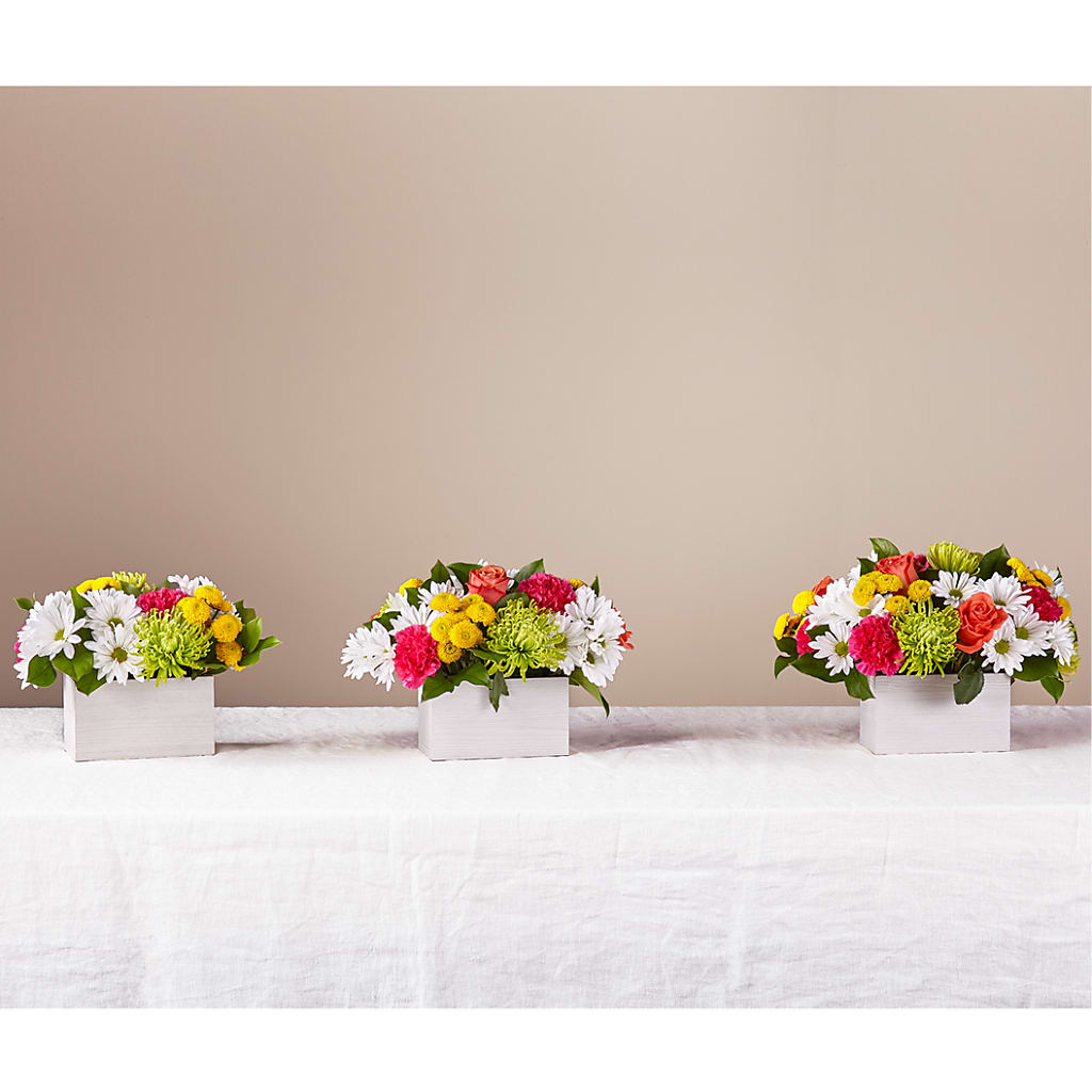 Sorbet Bouquet – RUSSELL'S FLOWER SHOP, Hamilton ON