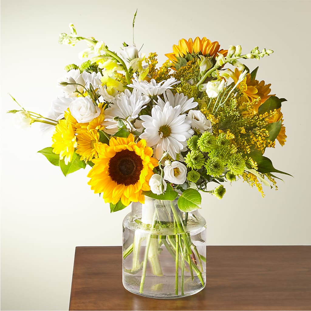 Hello Sunshine!