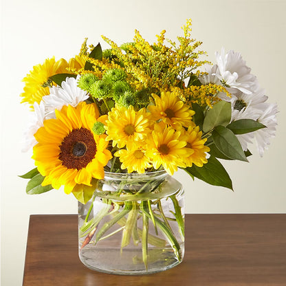 Hello Sunshine!
