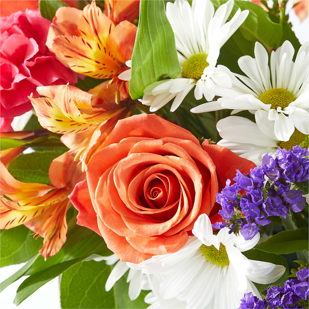 Oopsie Daisy Box Bouquet – RUSSELL'S FLOWER SHOP, Hamilton ON