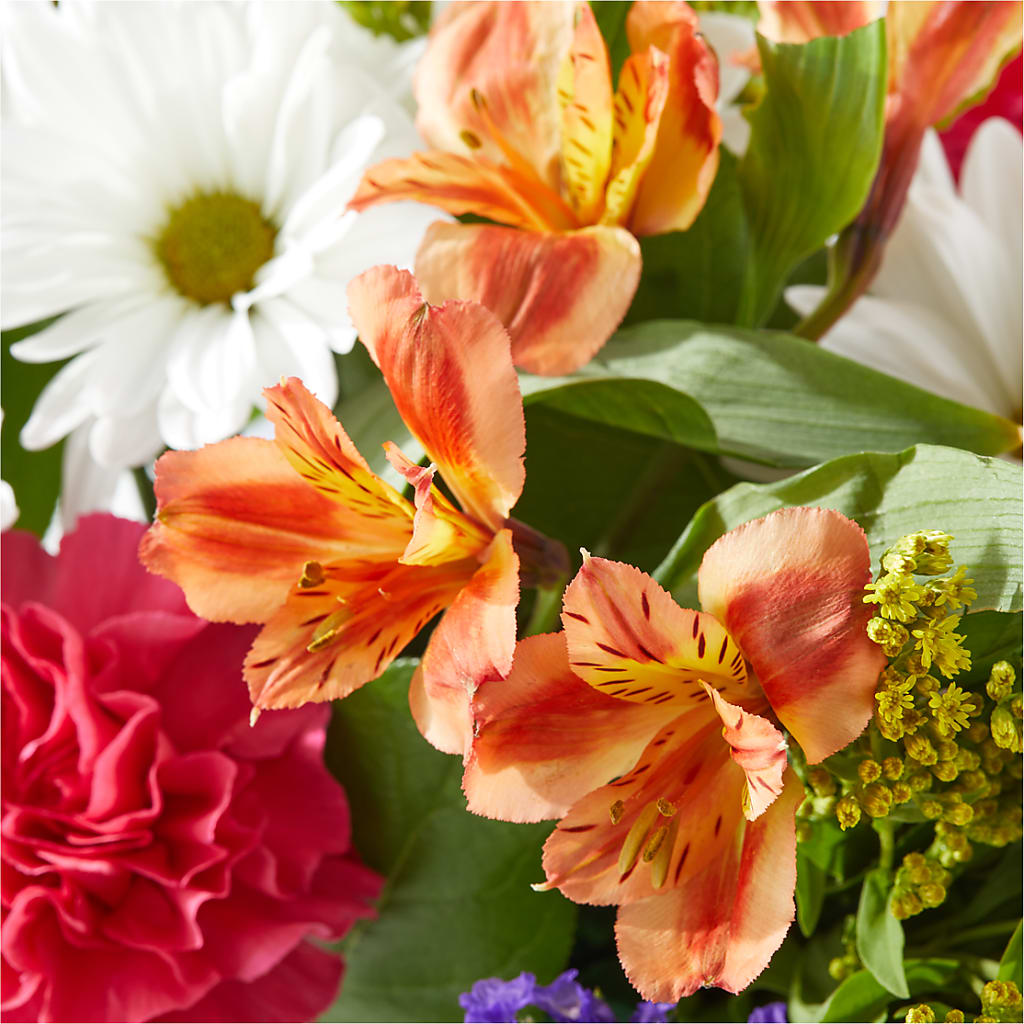 Oopsie Daisy Box Bouquet – RUSSELL'S FLOWER SHOP, Hamilton ON