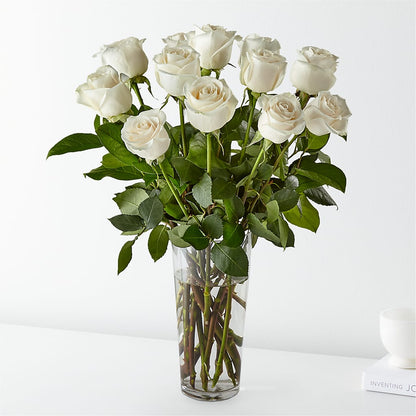 12 WHITE ROSES ARRANGED