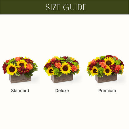 Happy Harvest Garden – RUSSELL'S FLOWER SHOP, Hamilton ON