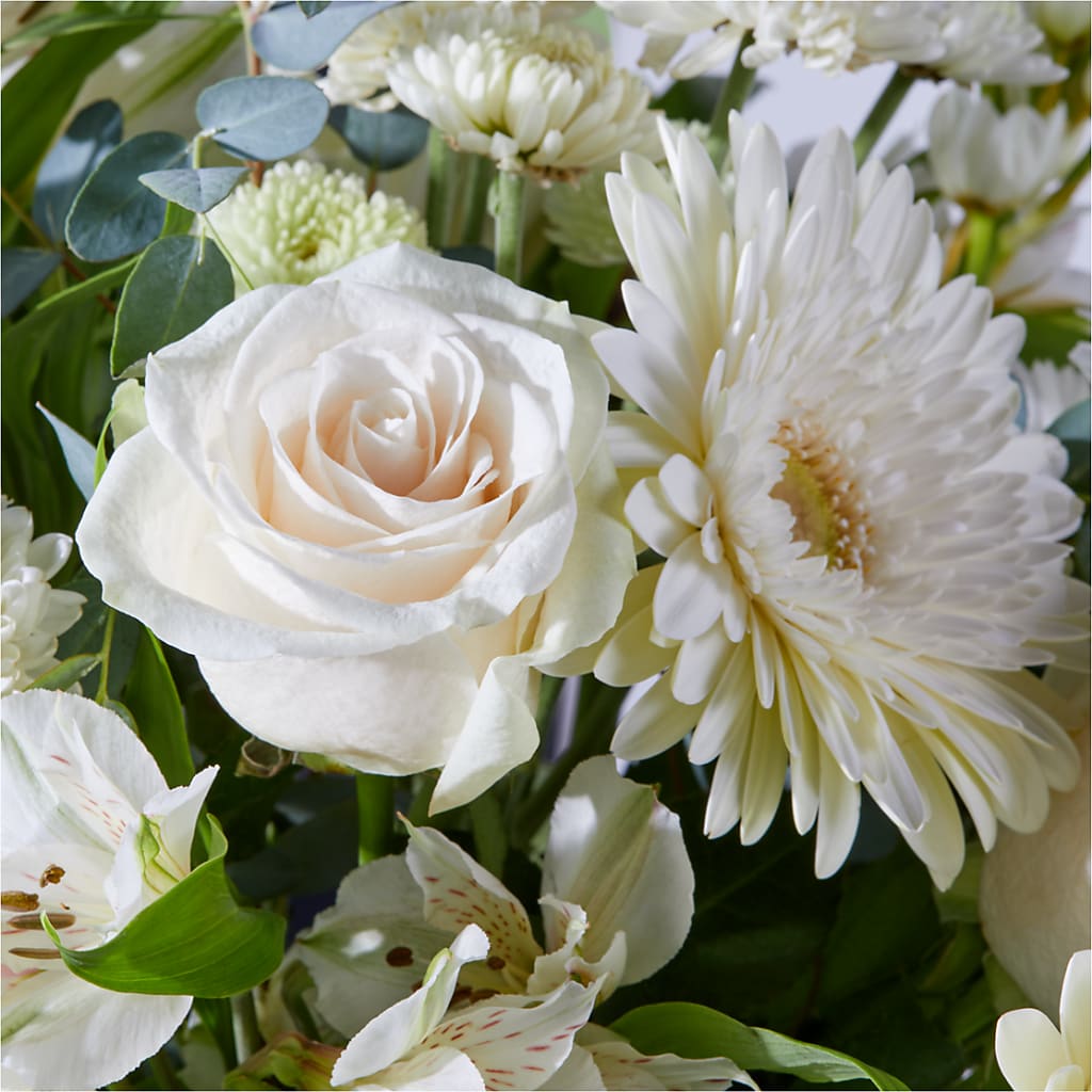 New Beginnings – A Florist Original – RUSSELL'S FLOWER SHOP, Hamilton ON