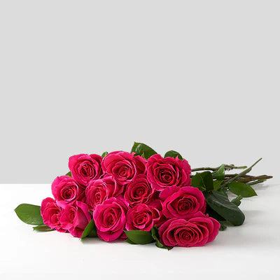 Long Stem Hot Pink Roses Wrapped