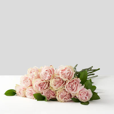 Long Stem Light Pink Roses