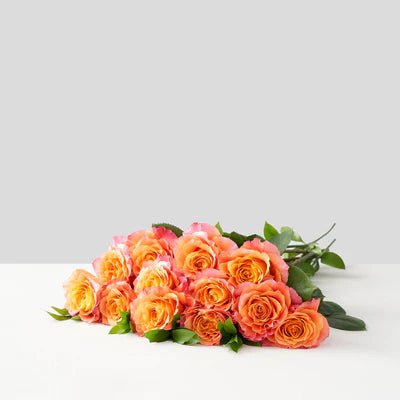 Long Stem Orange Roses Wrapped