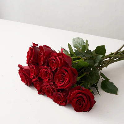 Long Stem Red Roses Wrapped