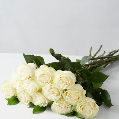 White Roses Gift Wrapped