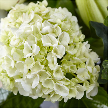 Classic Ivory – A Florist Original – RUSSELL'S FLOWER SHOP, Hamilton ON