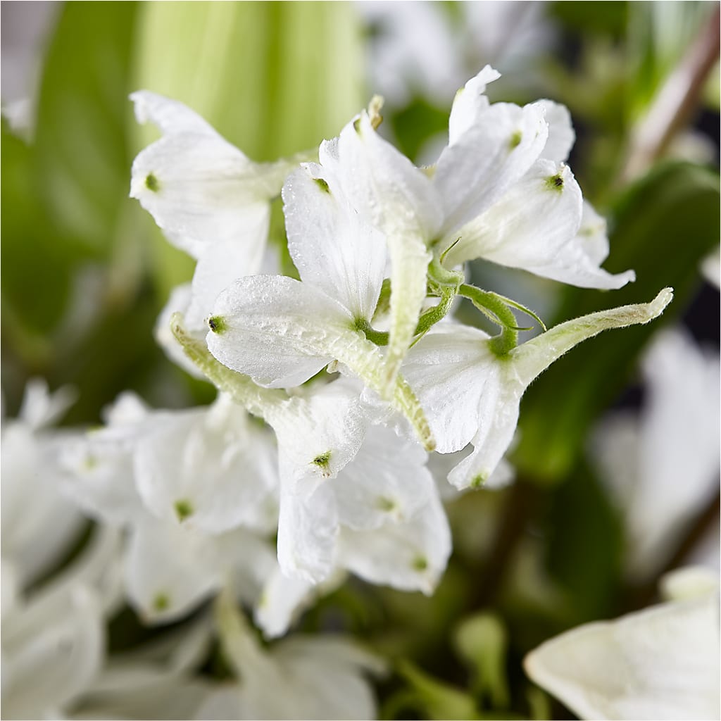 Classic Ivory – A Florist Original – RUSSELL'S FLOWER SHOP, Hamilton ON