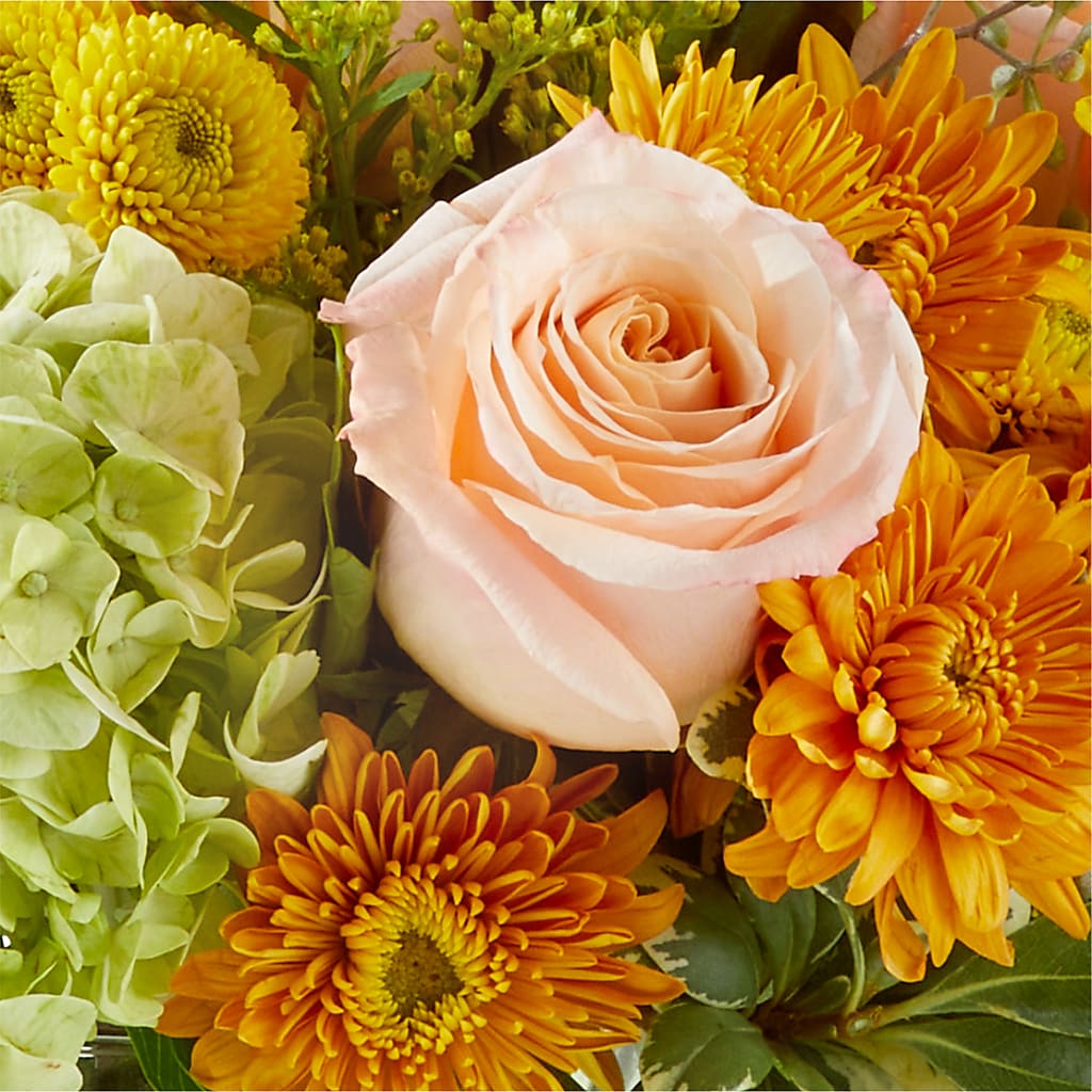 Fall Foliage Bouquet – RUSSELL'S FLOWER SHOP, Hamilton ON