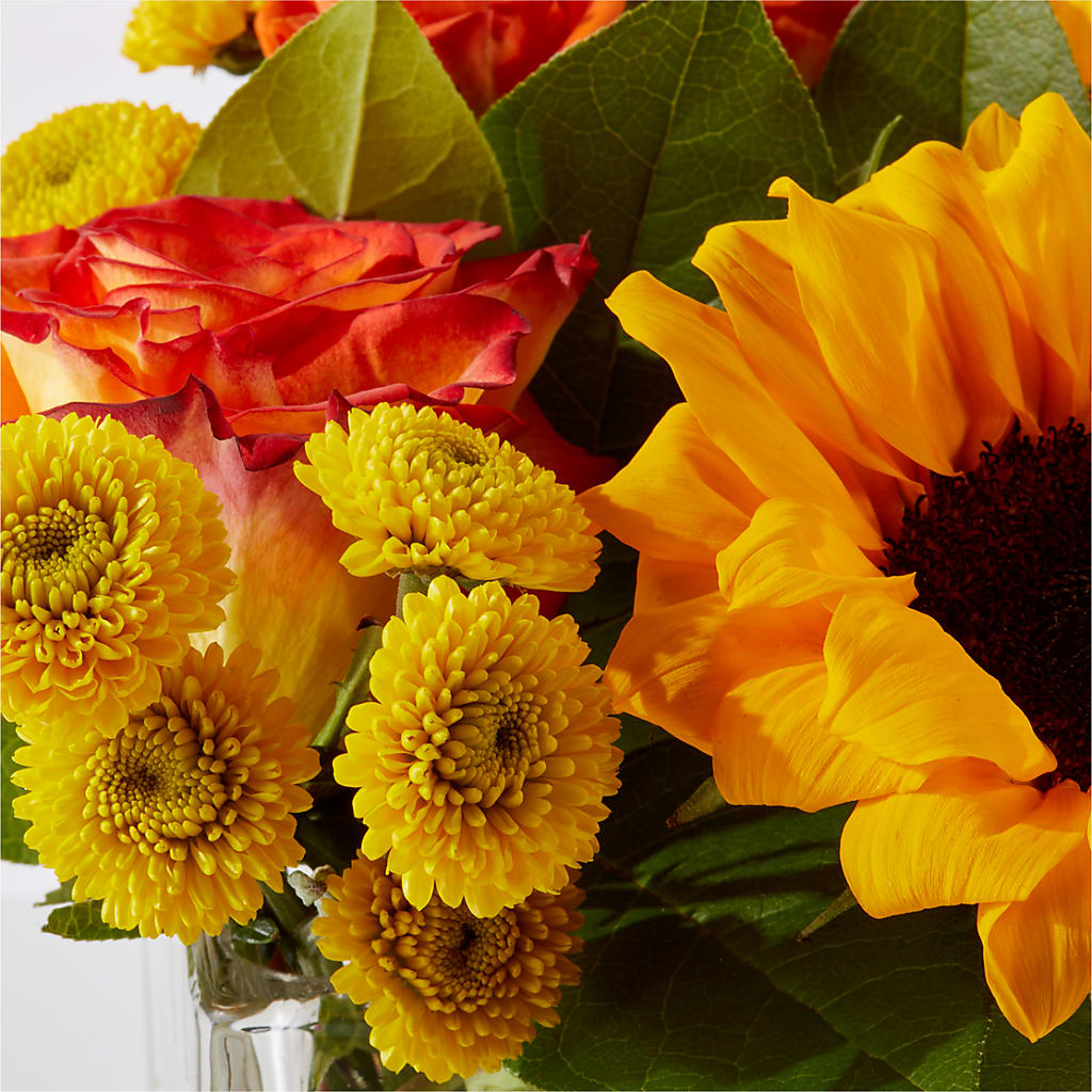 Picnic in the Park Bouquet – RUSSELL'S FLOWER SHOP, Hamilton ON