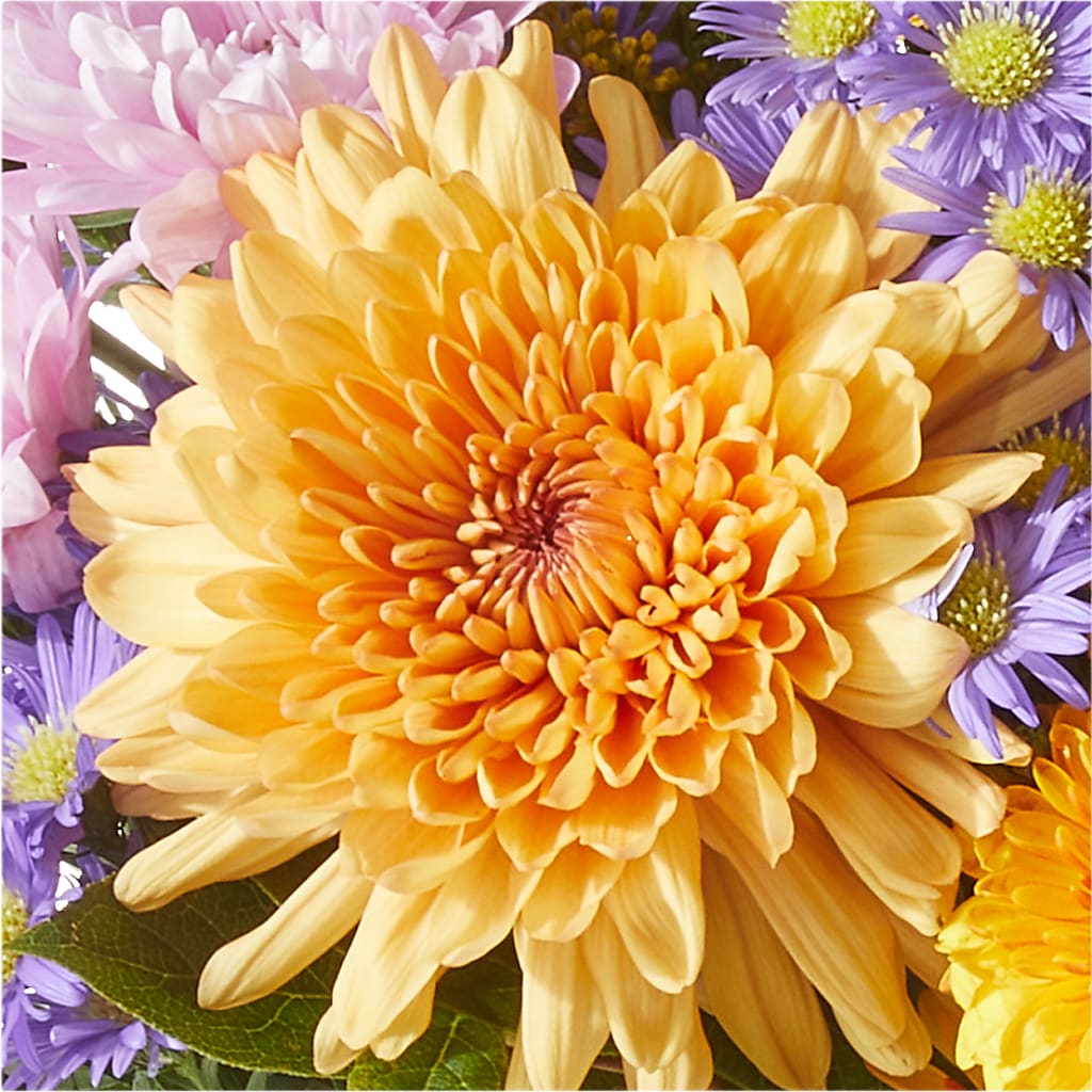 Countryside Bouquet – RUSSELL'S FLOWER SHOP, Hamilton ON