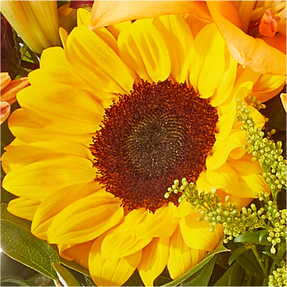 Seasons Change Bouquet – RUSSELL'S FLOWER SHOP, Hamilton ON