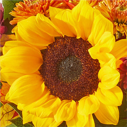 Sunny Side Bouquet – RUSSELL'S FLOWER SHOP, Hamilton ON