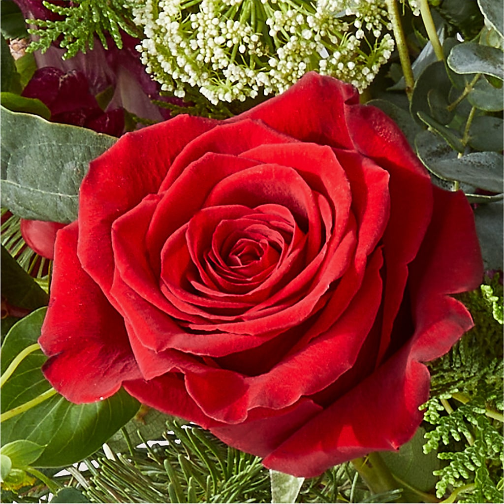 Cranberry Fizz Bouquet – RUSSELL'S FLOWER SHOP, Hamilton ON