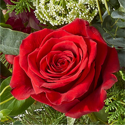 Cranberry Fizz Bouquet – RUSSELL'S FLOWER SHOP, Hamilton ON