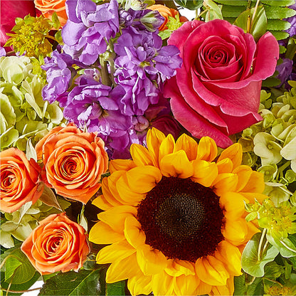 Vibrant Greetings Bouquet – RUSSELL'S FLOWER SHOP, Hamilton ON
