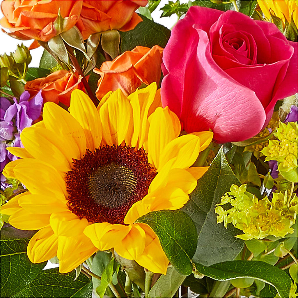 Vibrant Greetings Bouquet – RUSSELL'S FLOWER SHOP, Hamilton ON