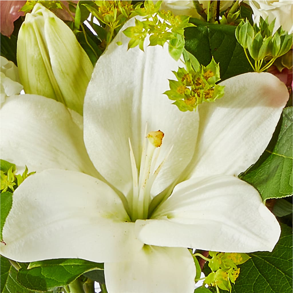Fondly Bouquet – RUSSELL'S FLOWER SHOP, Hamilton ON